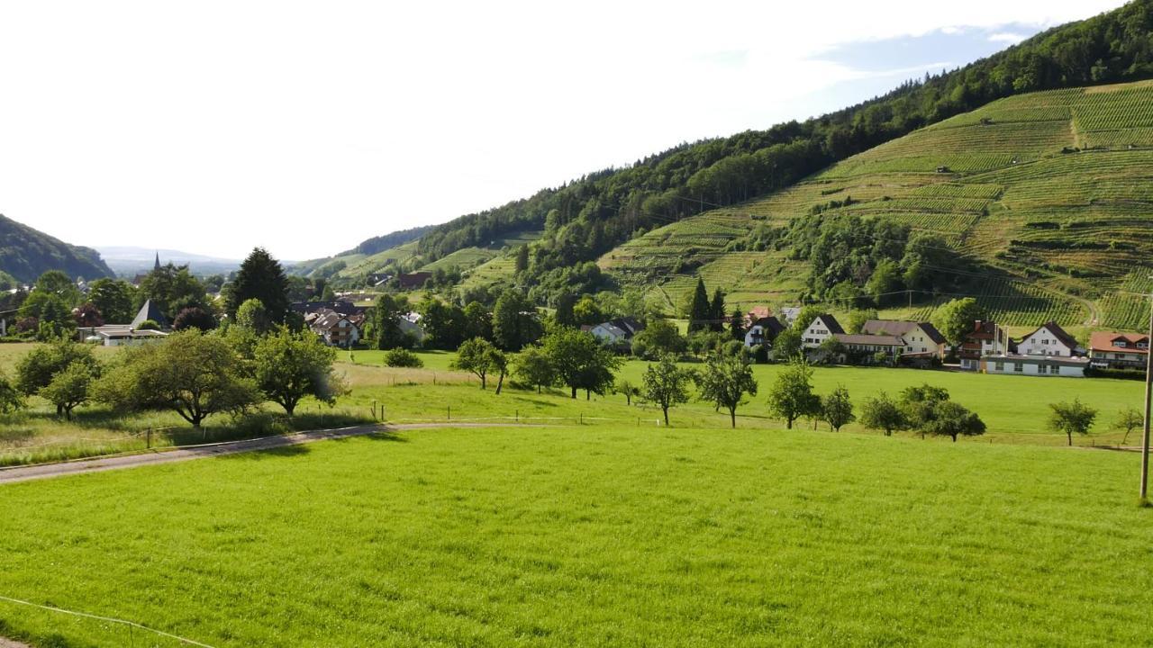 Tobererhof Apartamento Glottertal Exterior foto